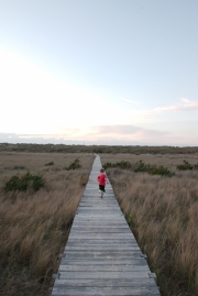 OBX_Camping-0025